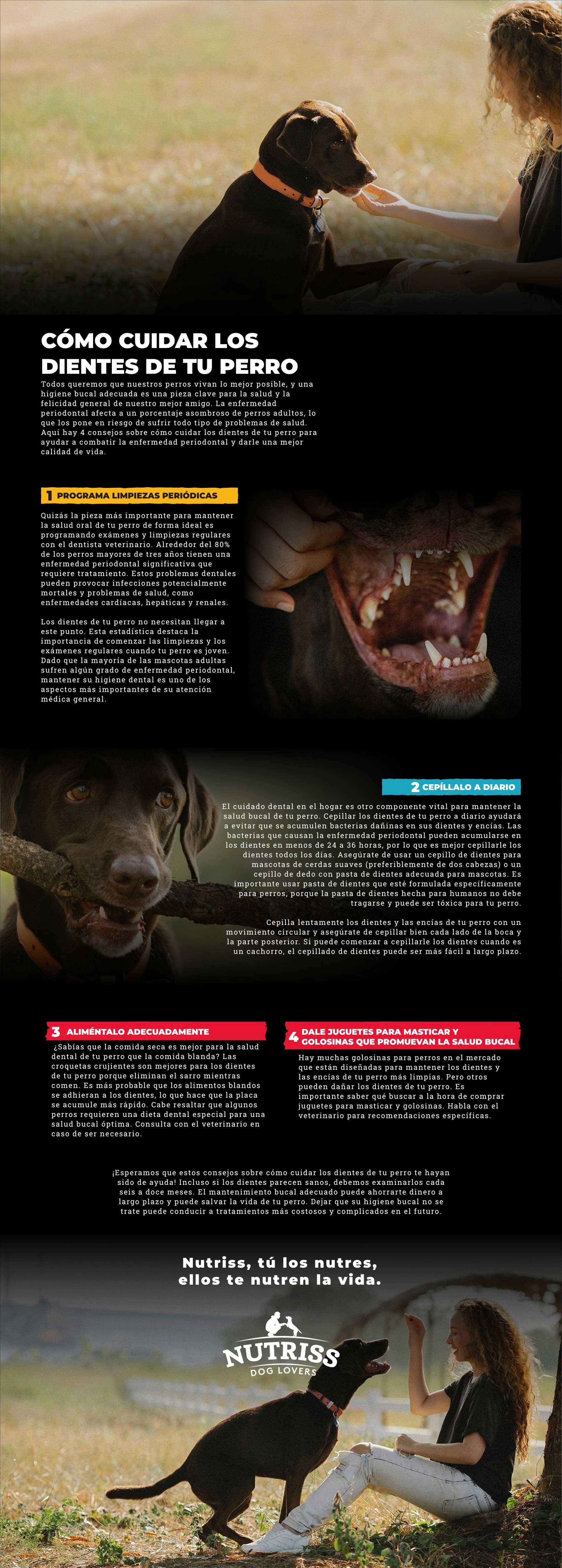 Cómo cuidar los dientes de tu perro